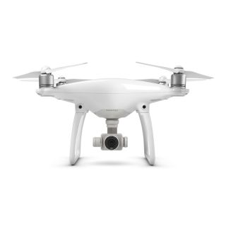 Parrot discount disco refurbished
